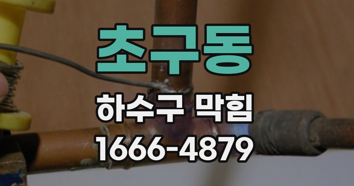 초구동 하수구 막힘