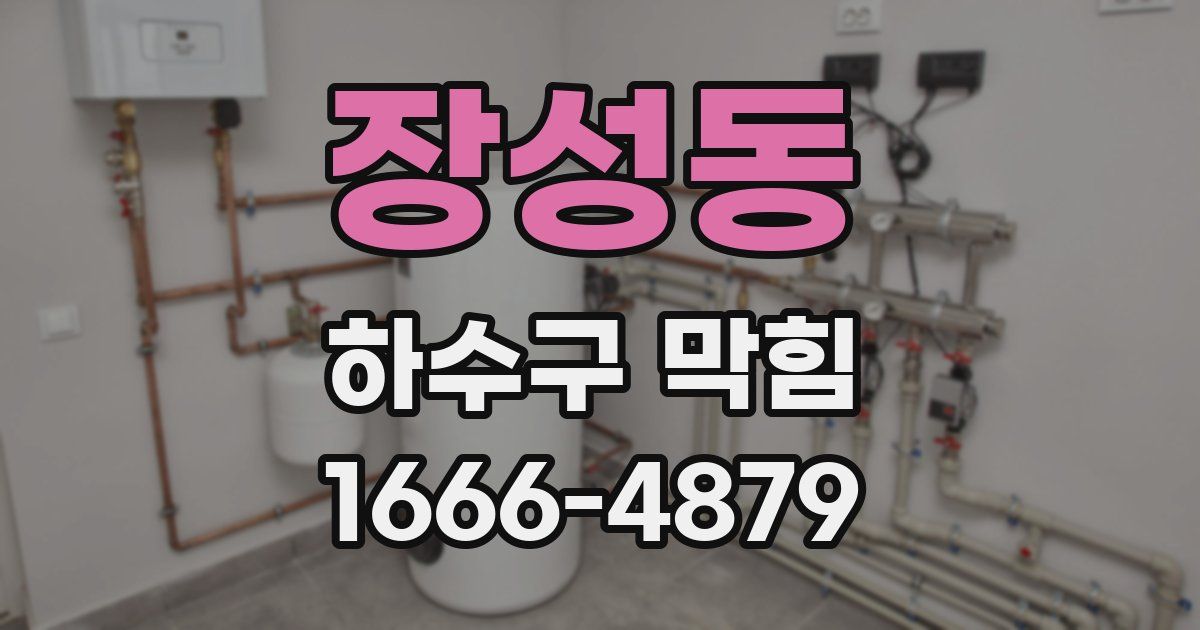 장성동 하수구 막힘