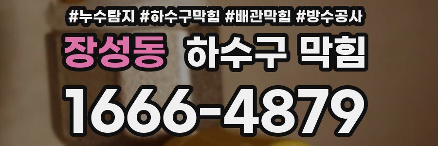 장성동 하수구 막힘