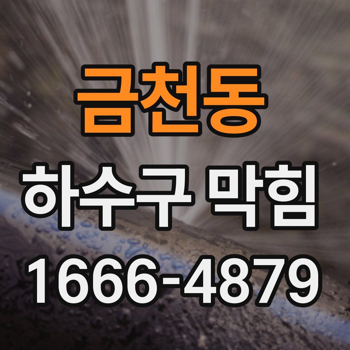 금천동 하수구 막힘