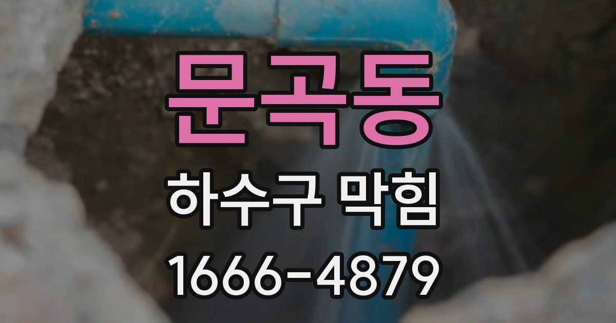 문곡동 하수구 막힘