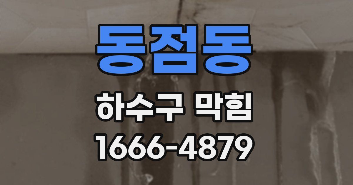 동점동 하수구 막힘