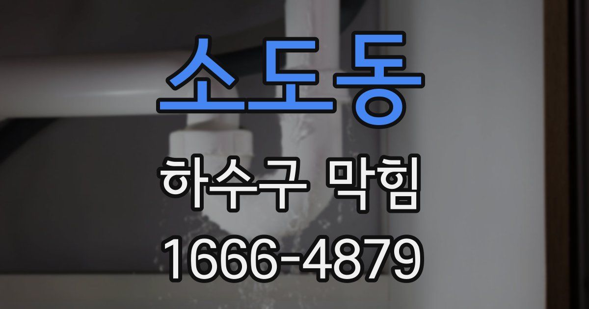 소도동 하수구 막힘