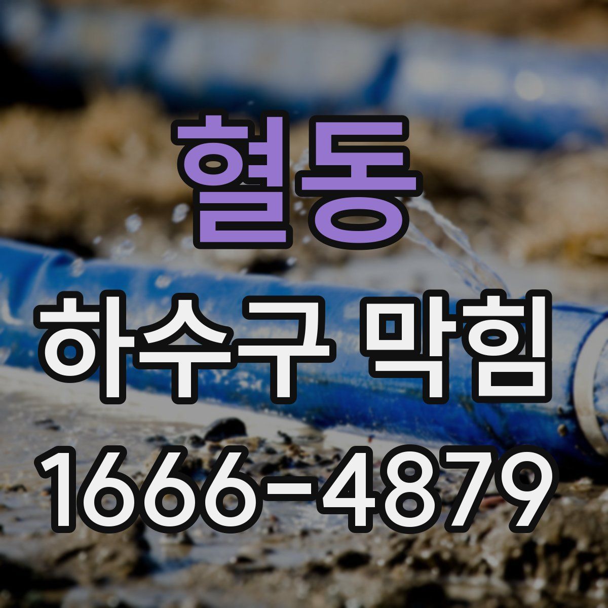혈동 하수구 막힘