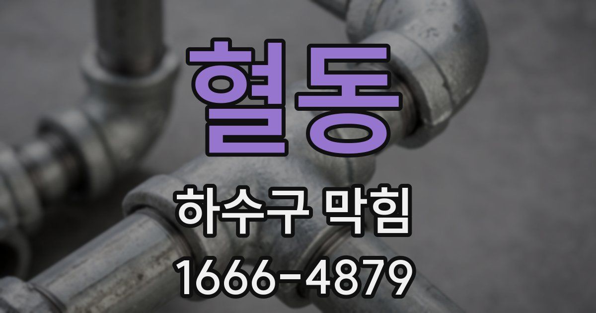 혈동 하수구 막힘