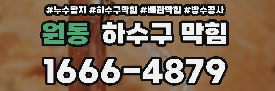 원동 하수구 막힘