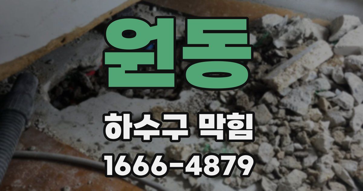 원동 하수구 막힘