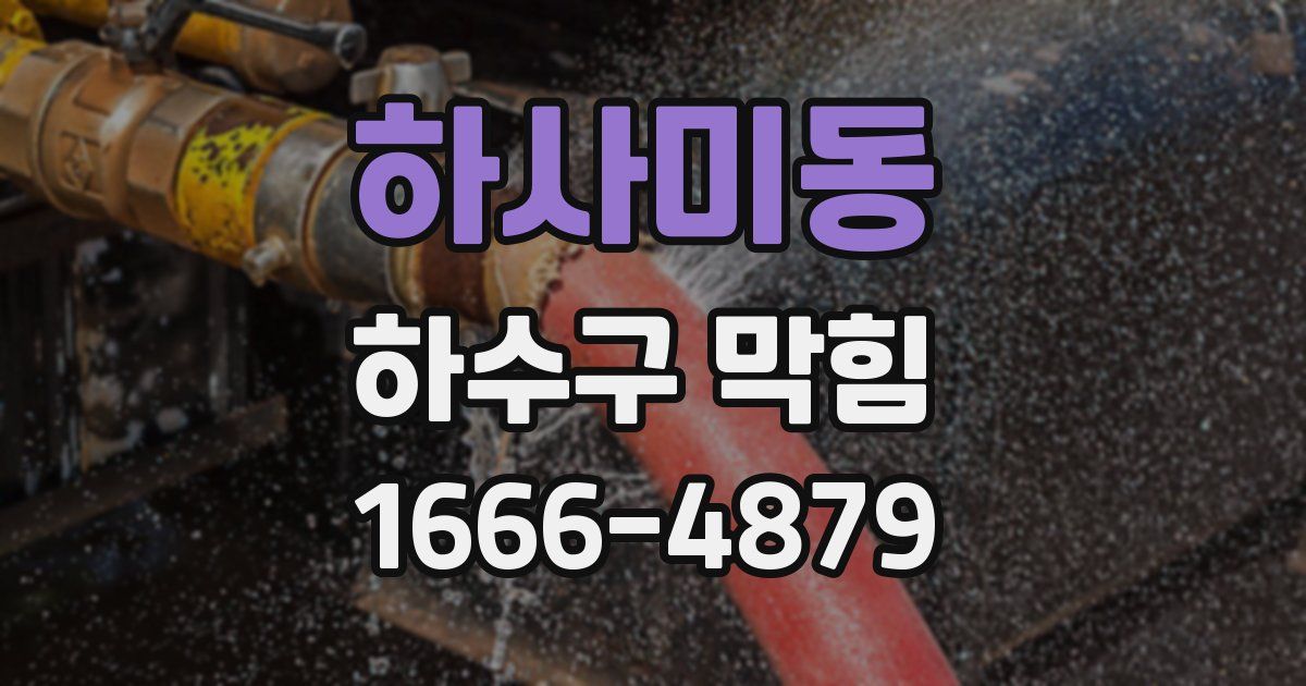 하사미동 하수구 막힘