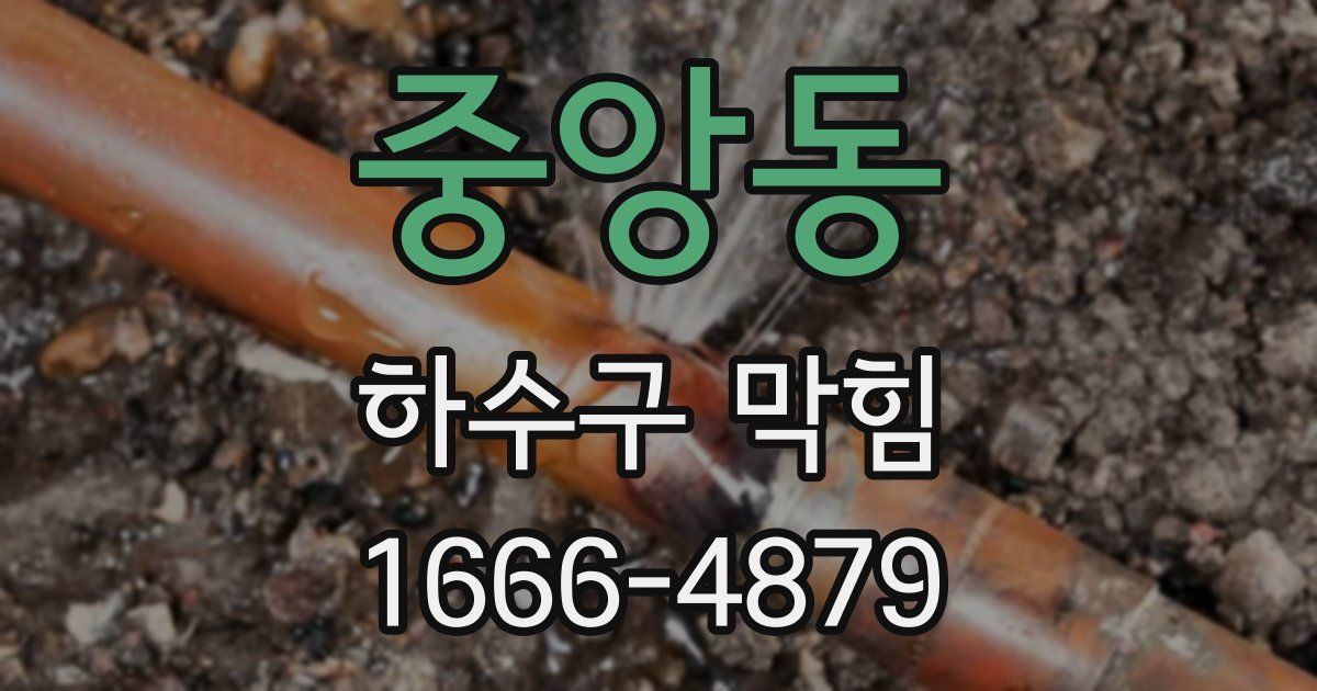 중앙동 하수구 막힘