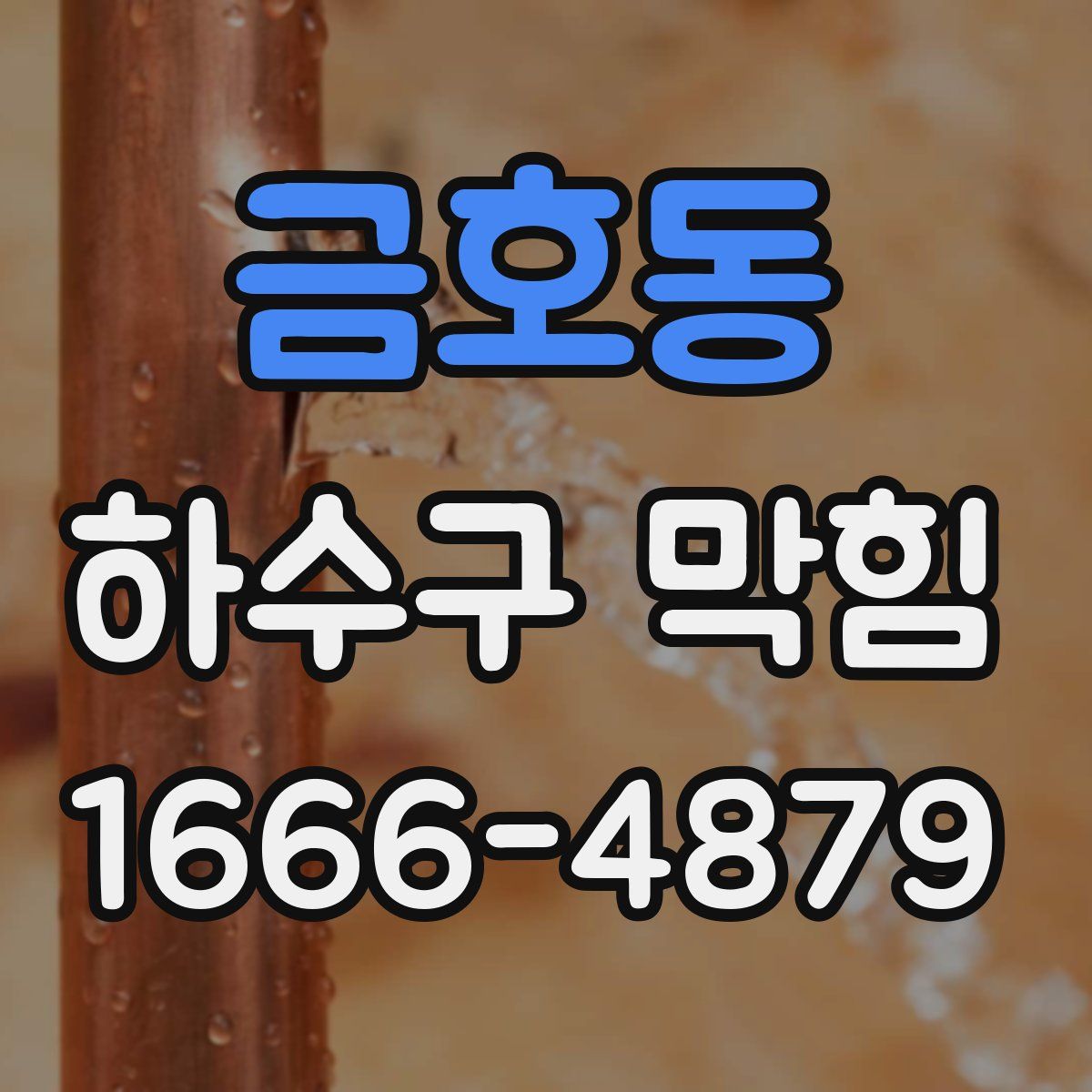 금호동 하수구 막힘