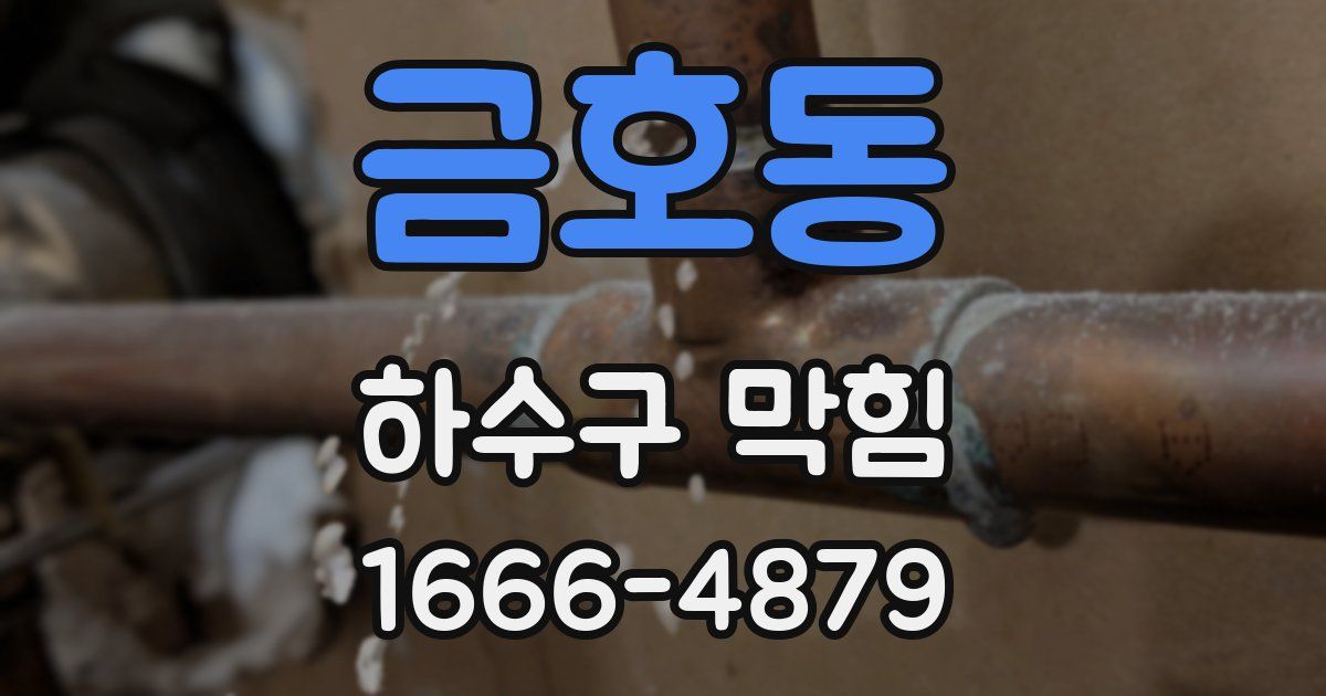 금호동 하수구 막힘