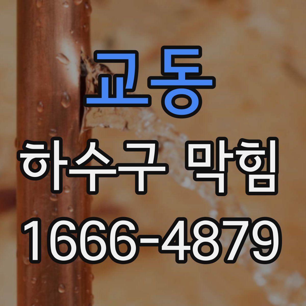 교동 하수구 막힘