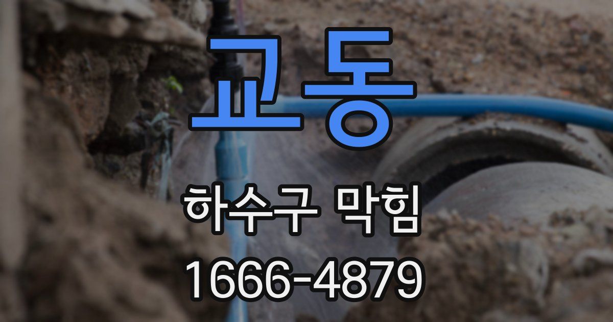 교동 하수구 막힘