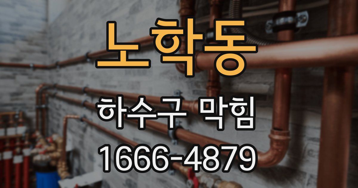 노학동 하수구 막힘