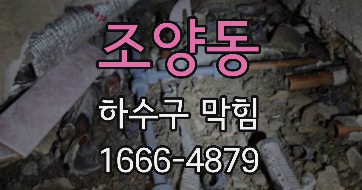 조양동 하수구 막힘