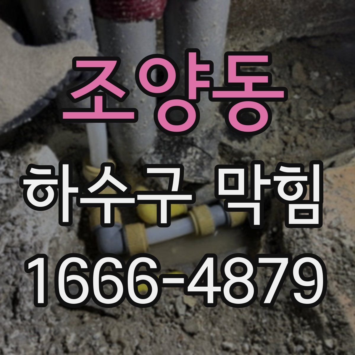 조양동 하수구 막힘