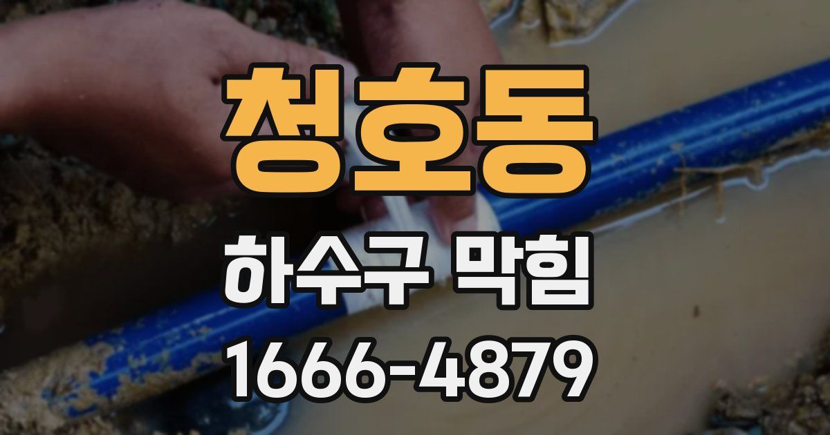 청호동 하수구 막힘