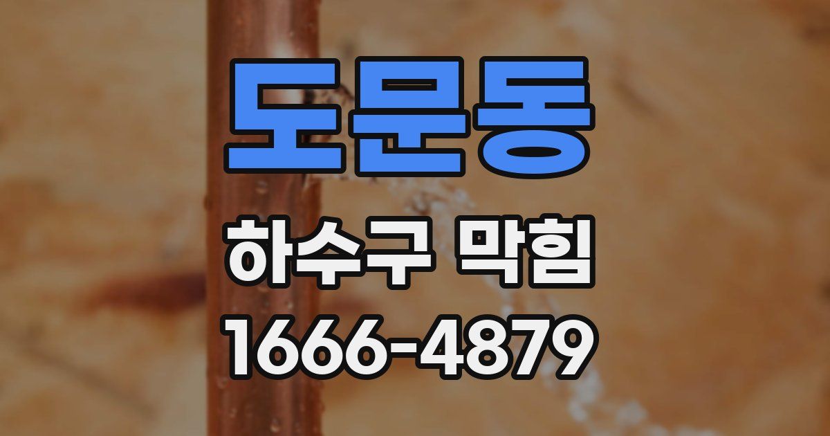 도문동 하수구 막힘