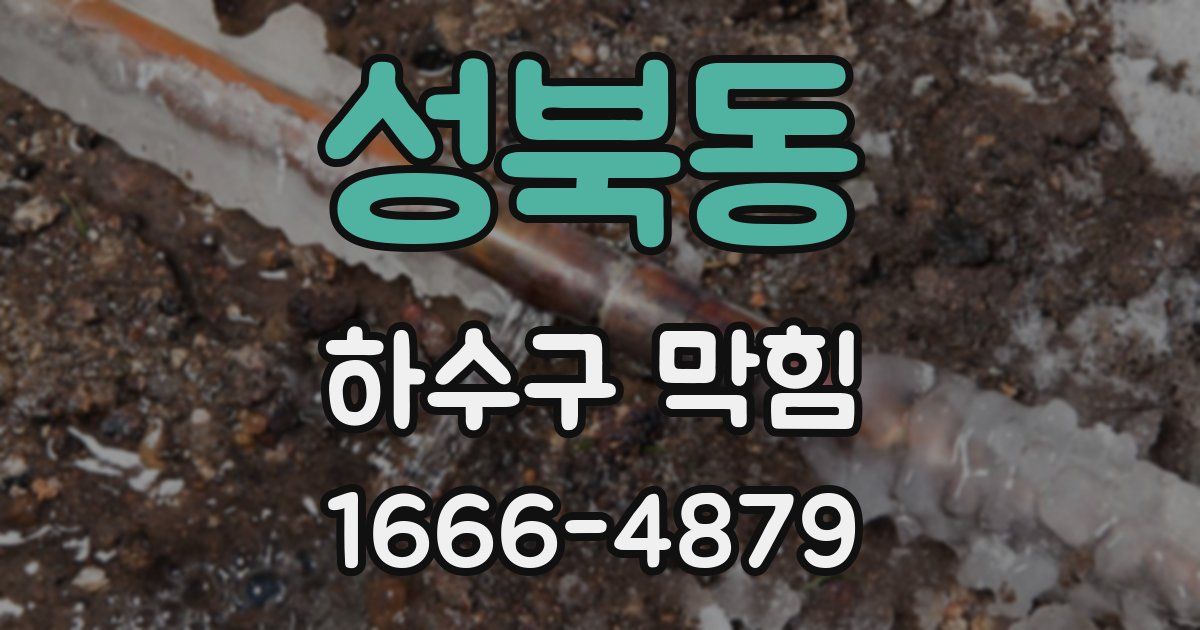 성북동 하수구 막힘