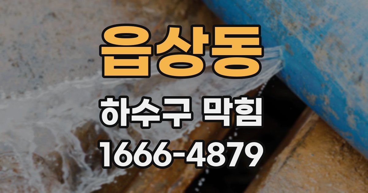 읍상동 하수구 막힘