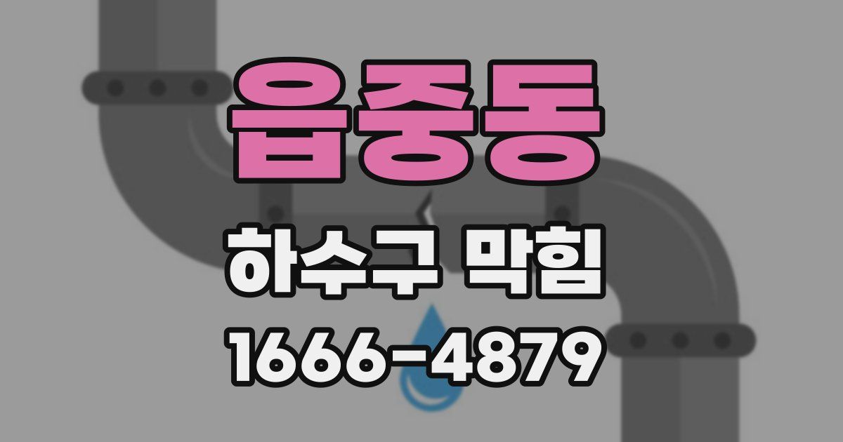 읍중동 하수구 막힘