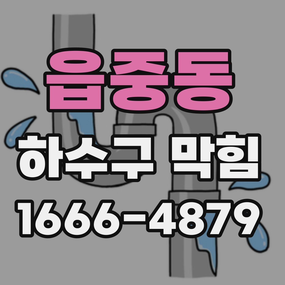 읍중동 하수구 막힘