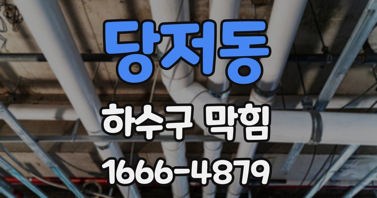 당저동 하수구 막힘