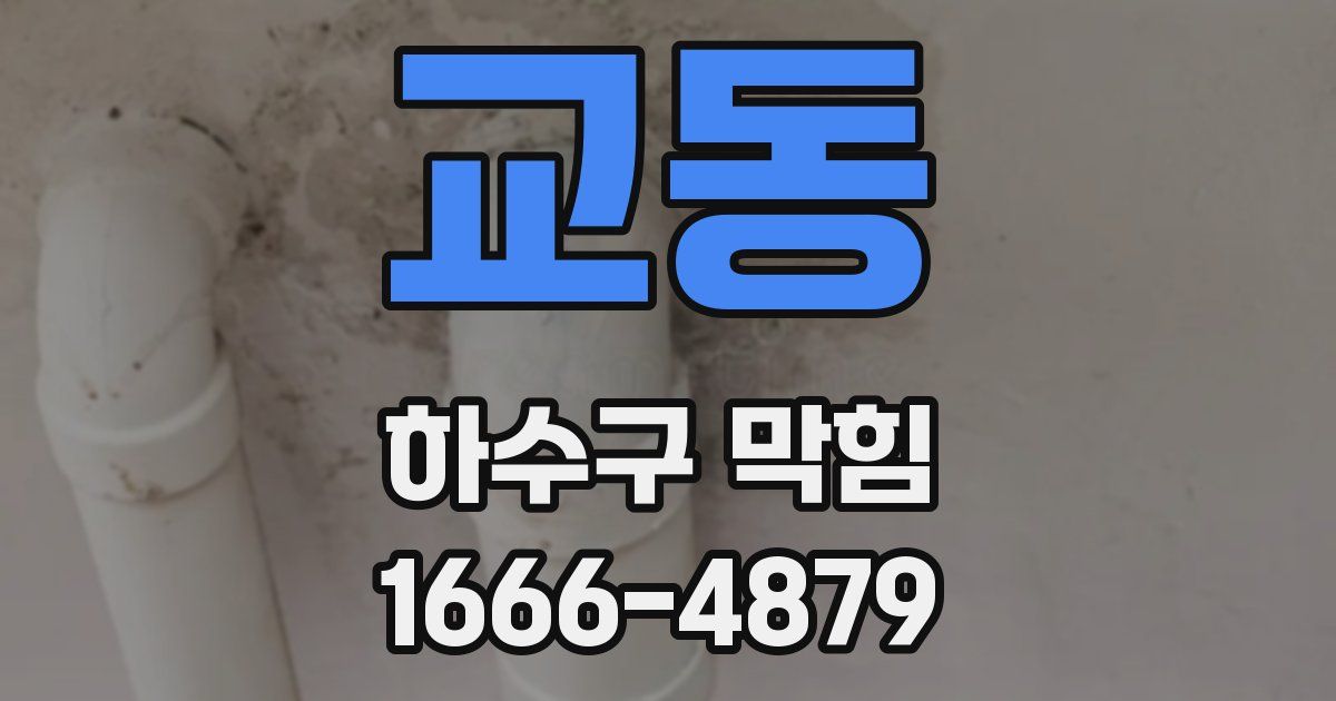 교동 하수구 막힘