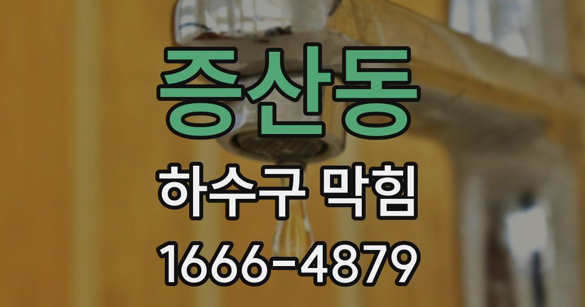 증산동 하수구 막힘