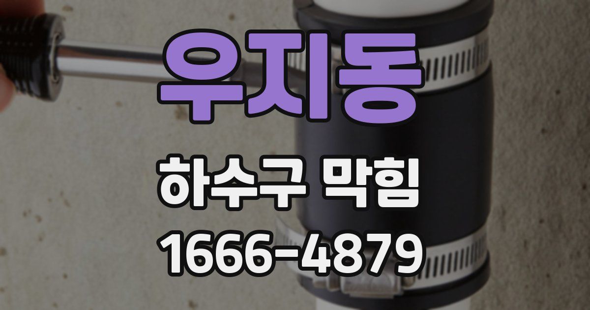 우지동 하수구 막힘