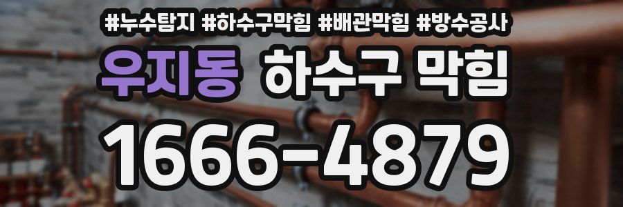 우지동 하수구 막힘