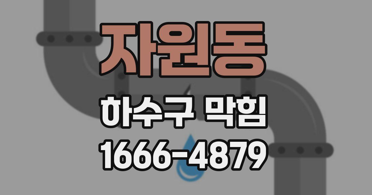 자원동 하수구 막힘