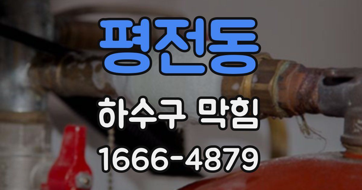 평전동 하수구 막힘