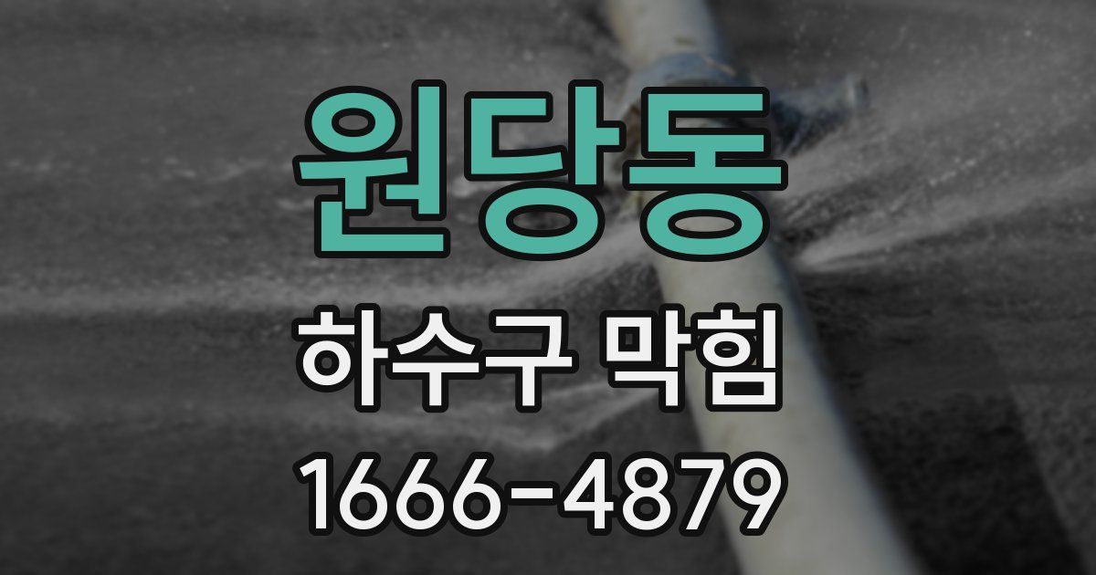 원당동 하수구 막힘