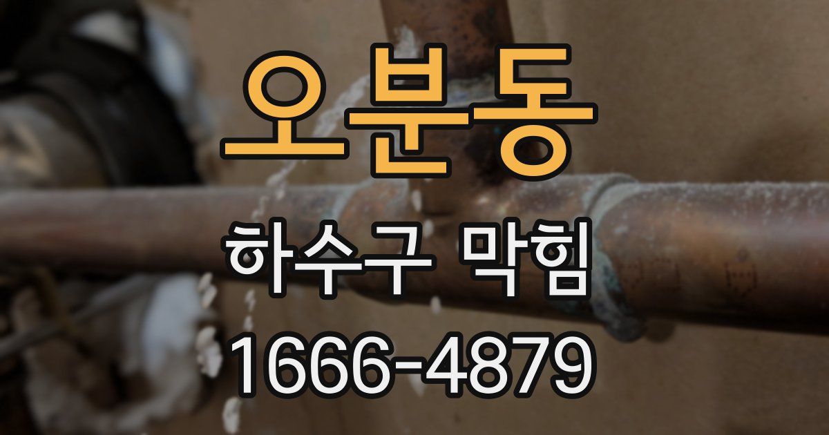 오분동 하수구 막힘