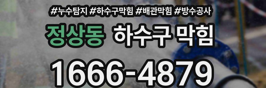정상동 하수구 막힘