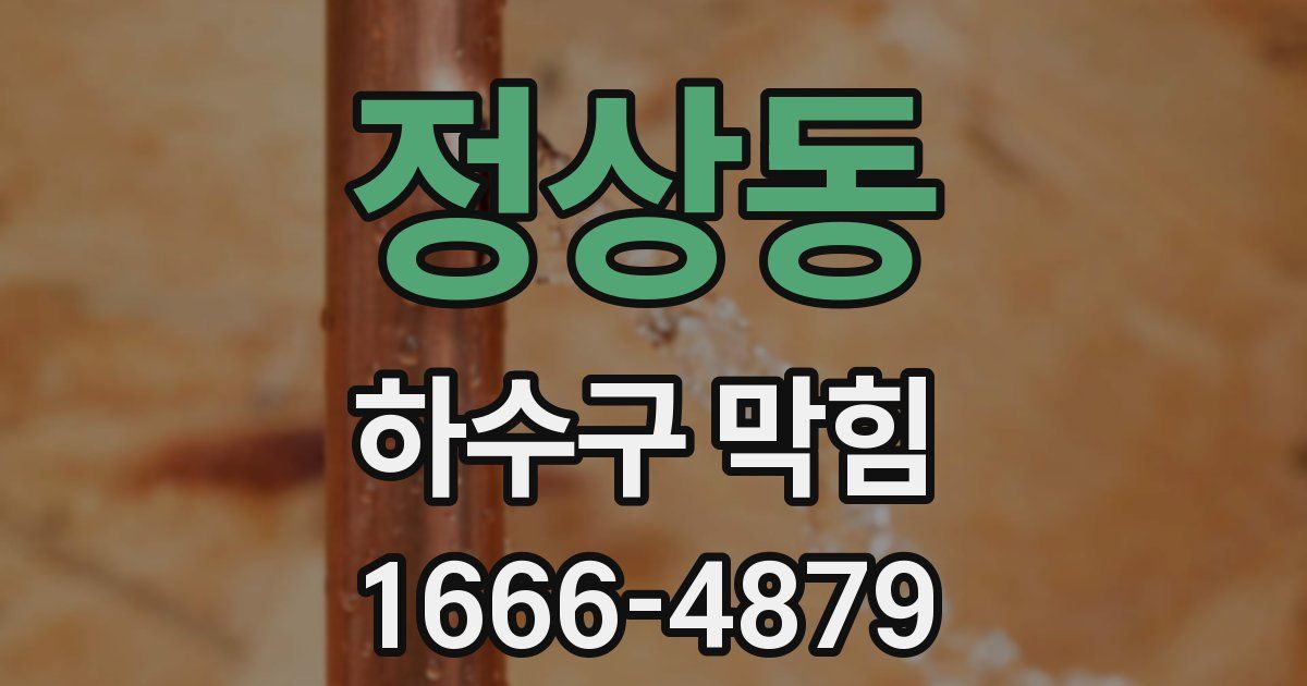 정상동 하수구 막힘