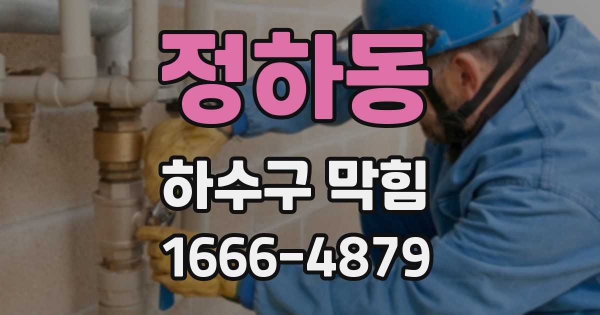 정하동 하수구 막힘