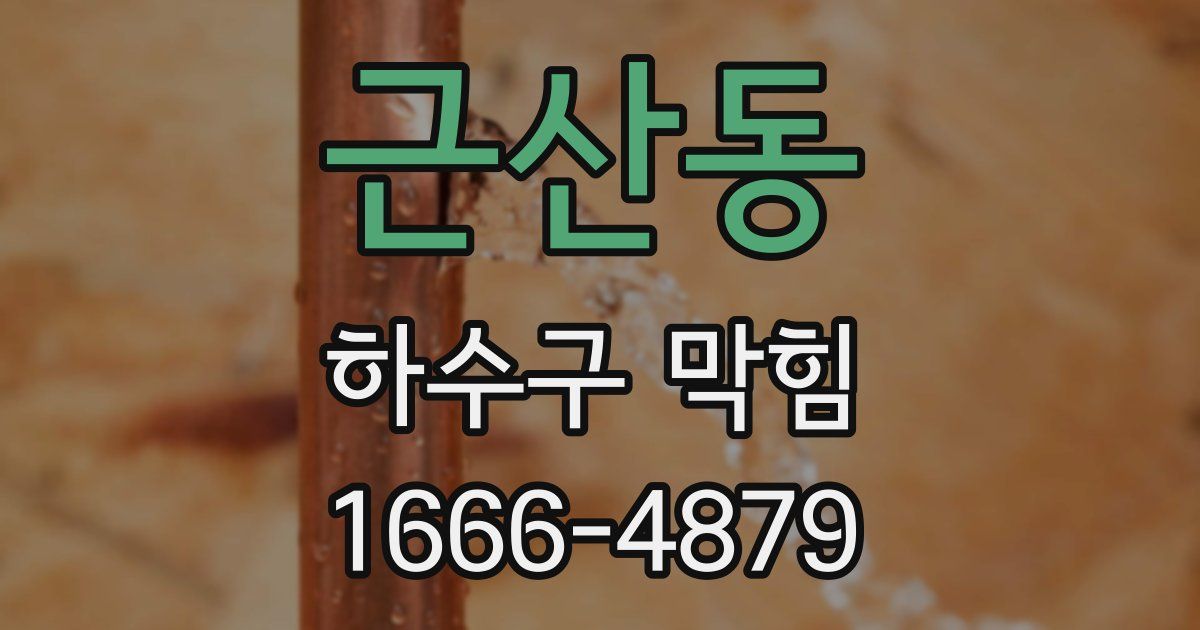 근산동 하수구 막힘