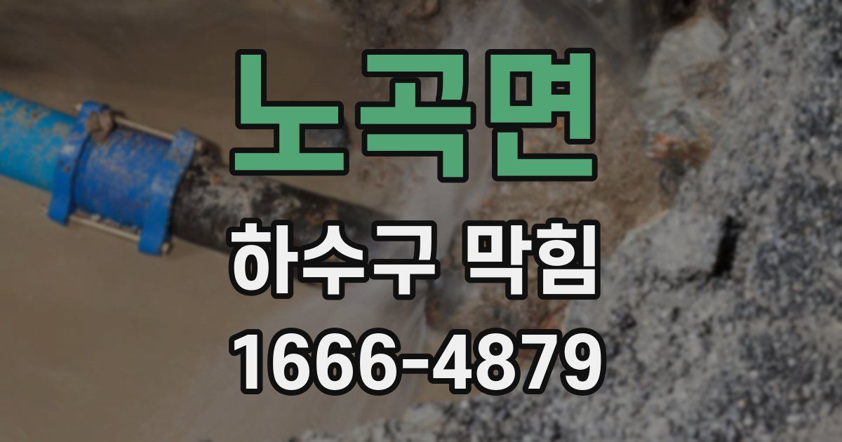 노곡면 하수구 막힘