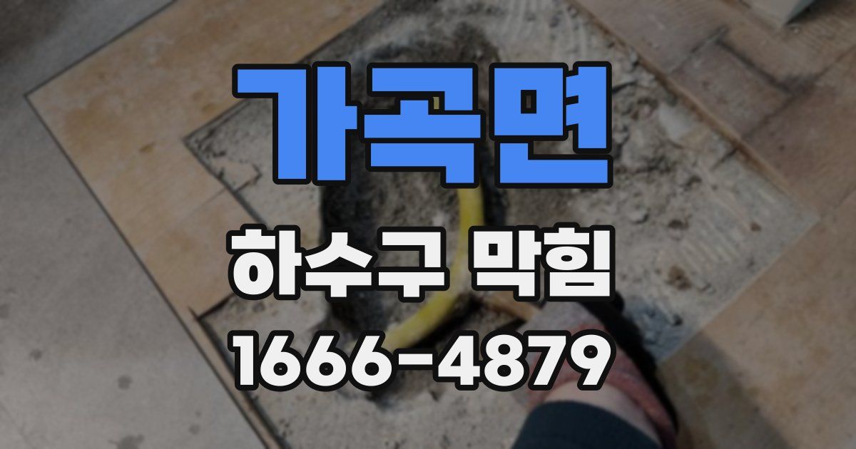 가곡면 하수구 막힘
