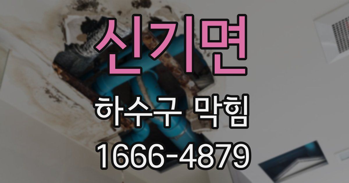 신기면 하수구 막힘