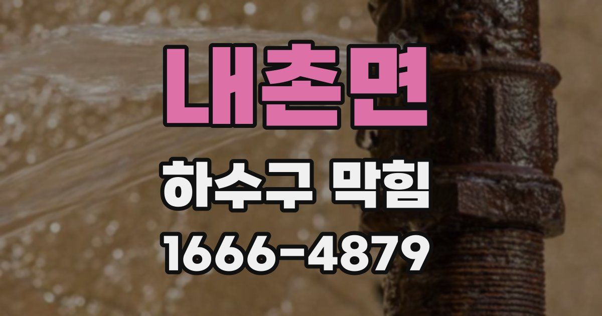 내촌면 하수구 막힘