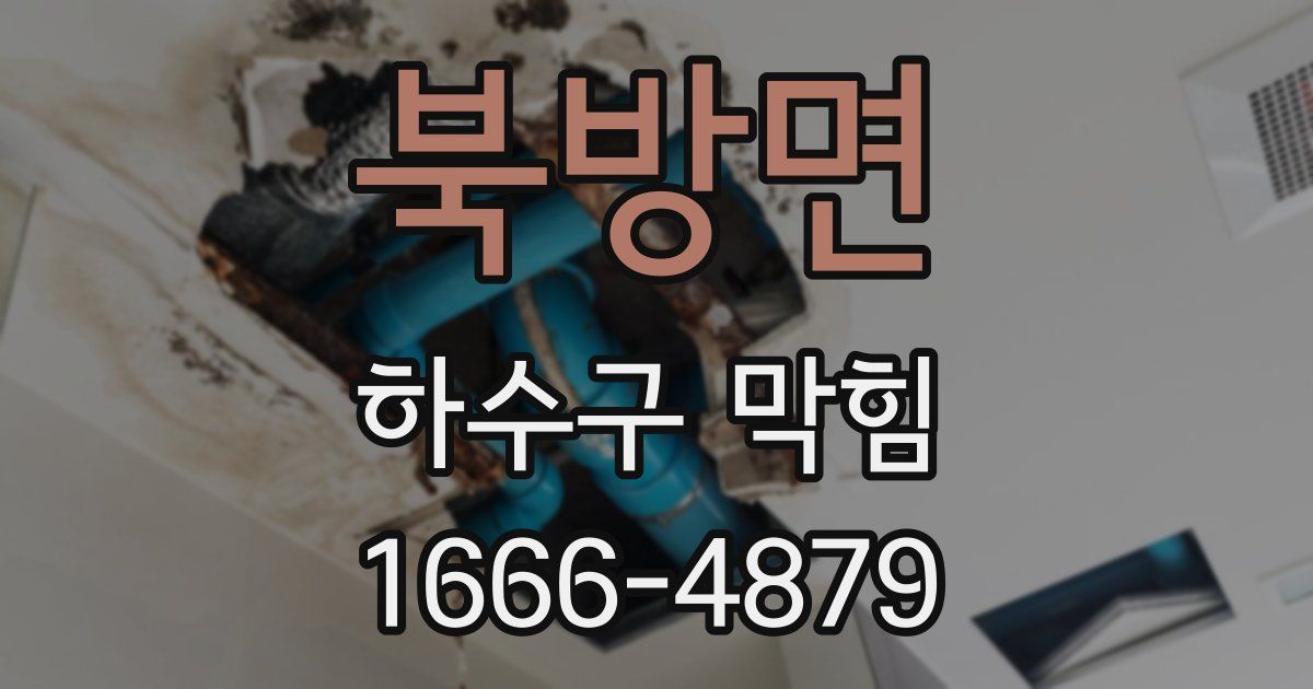 북방면 하수구 막힘