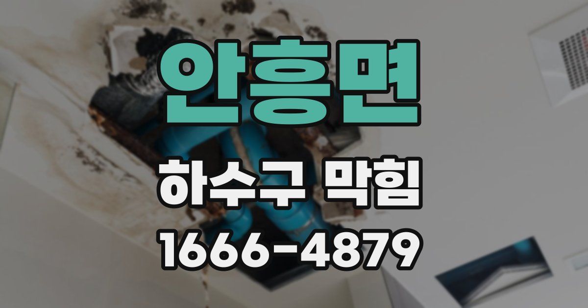 안흥면 하수구 막힘