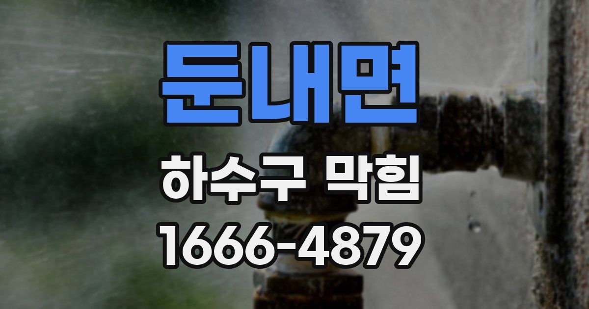 둔내면 하수구 막힘