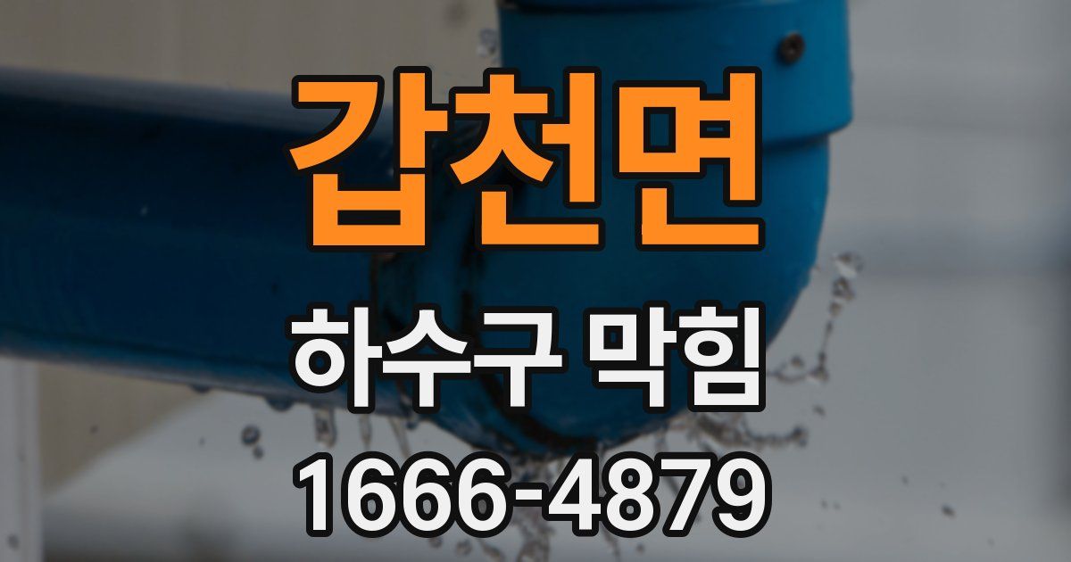 갑천면 하수구 막힘