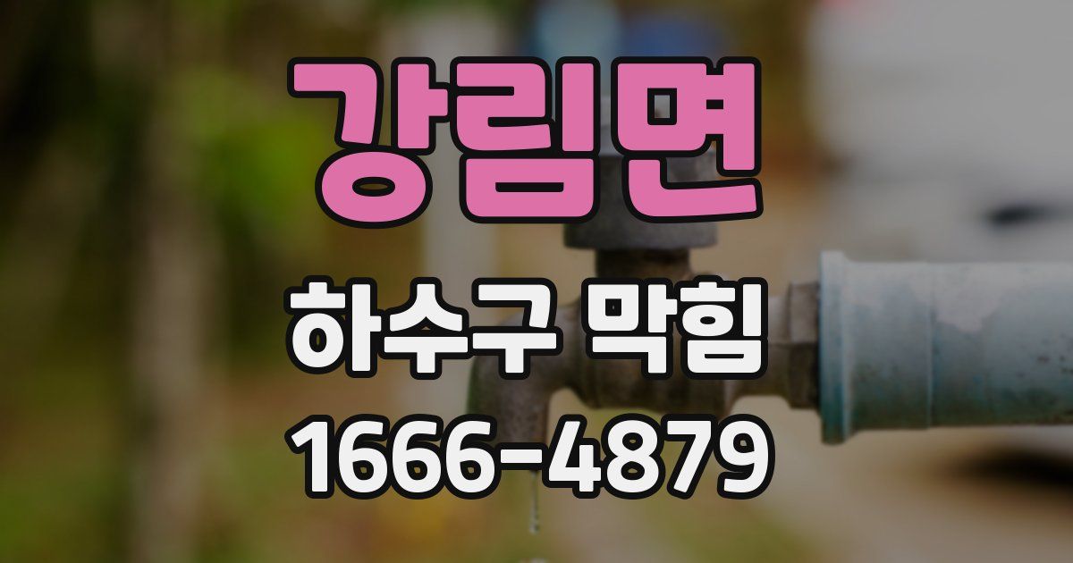 강림면 하수구 막힘