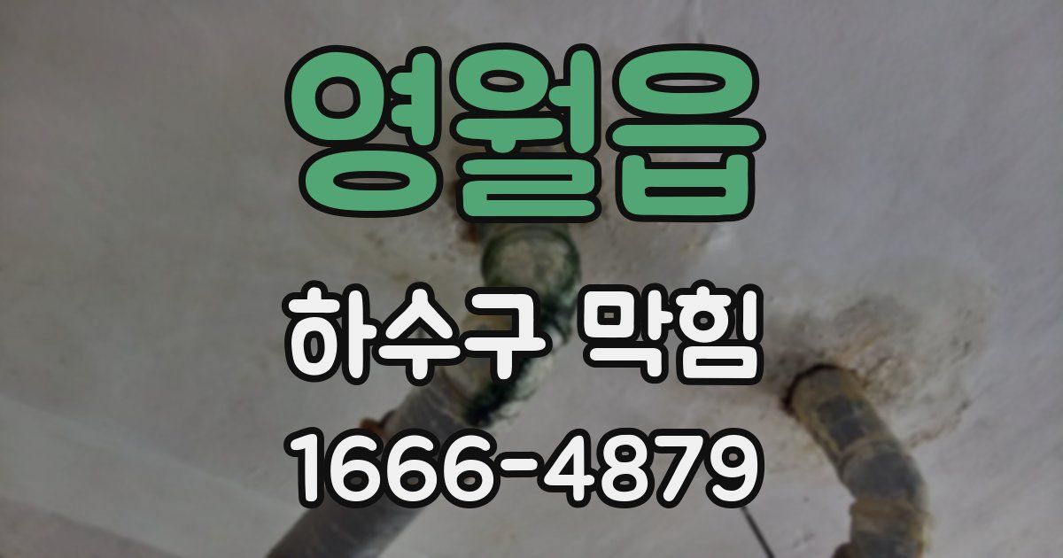 영월읍 하수구 막힘
