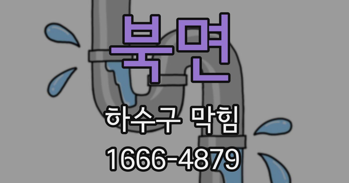 북면 하수구 막힘